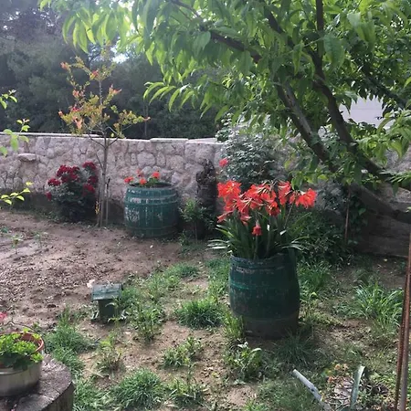 Apartman Ivan * Petrcane